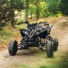 black yamaha raptor 700 for sale - Image 4