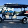 2025 Evolution Carrier 6 Plus Lithium-Ion golf cart - Image 4